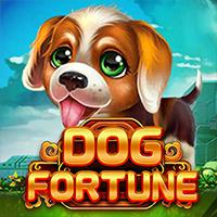 DOG FORTUNE